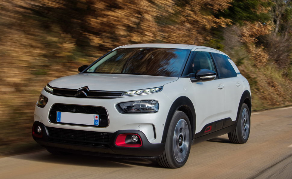 C 4 CACTUS