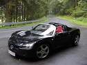 SPEEDSTER