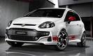 PUNTO EVO